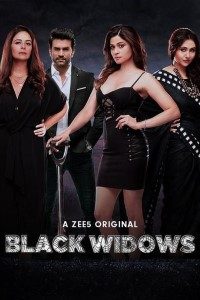 Download Black Widows 2020 (Season 1) Hindi {ZEE Series} WeB-DL || 480p [1.3GB]  || 720p [3.2GB] || 1080p [5.7GB]